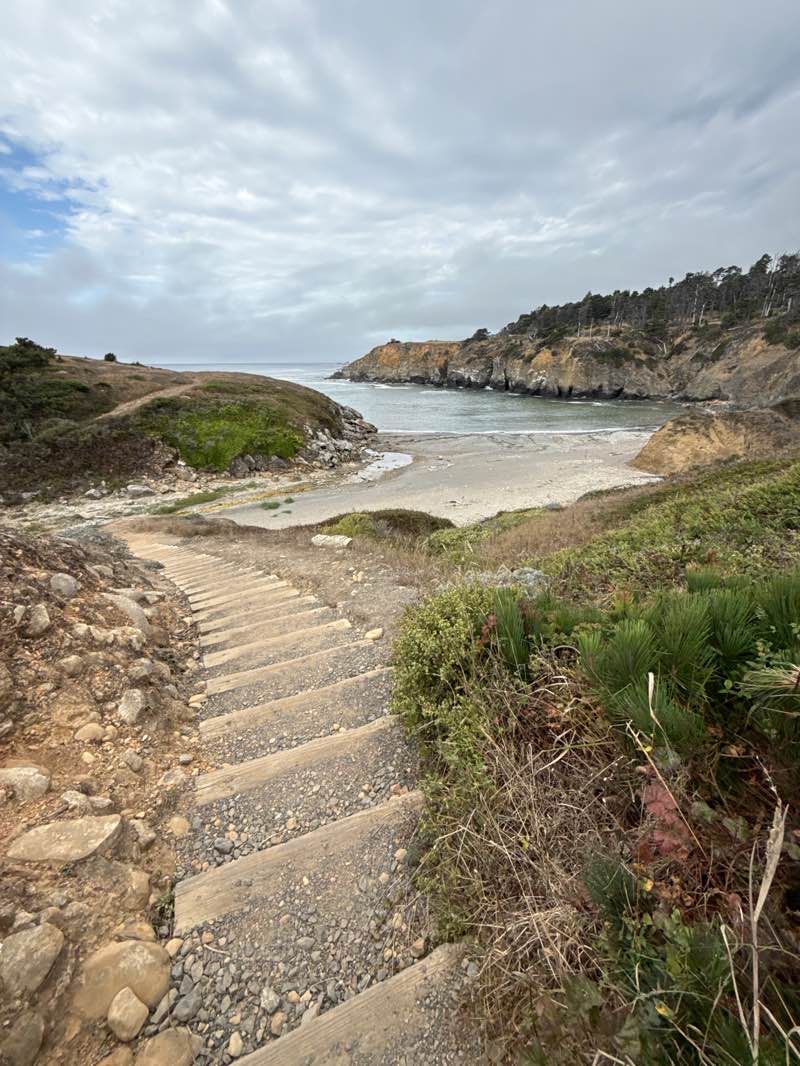 walking near me in Salt Point State Park in autumn