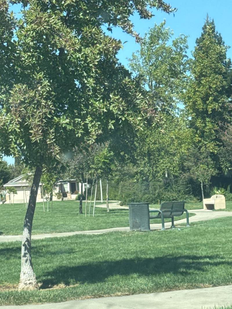 walking near me in Luttig Park in autumn