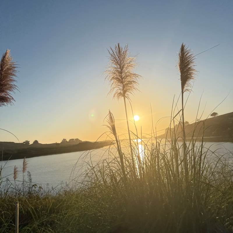 10K Every Day Lilly 🪷 post image