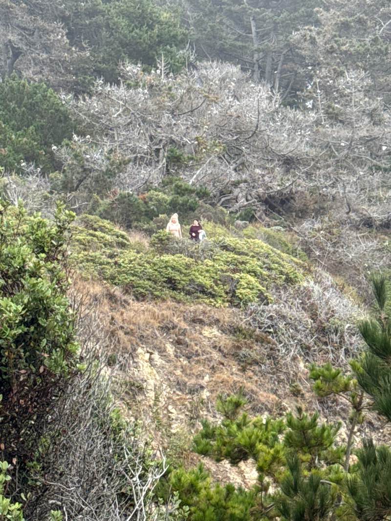 walking near me in Stillwater Cove Regional Park in autumn
