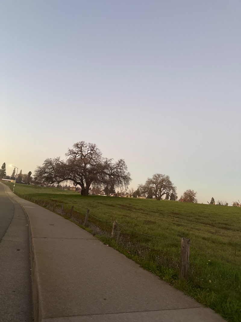 walking near me in Antelope Community Park in winter