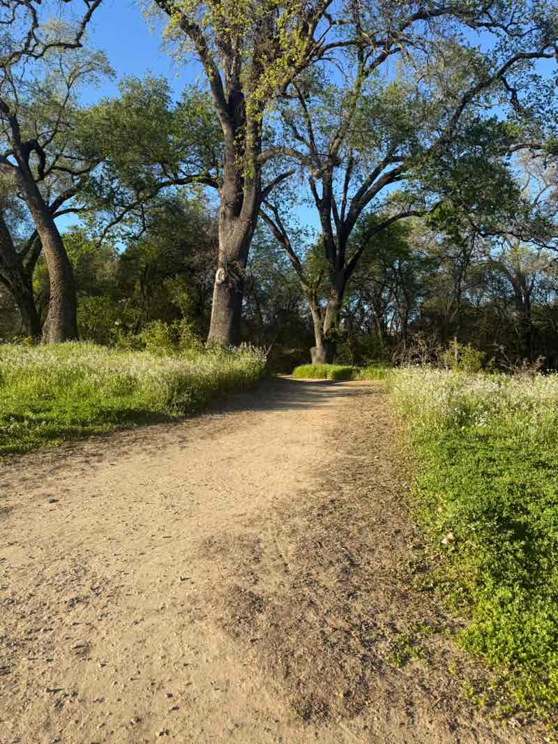walking near me in Dry Creek Community Park in spring