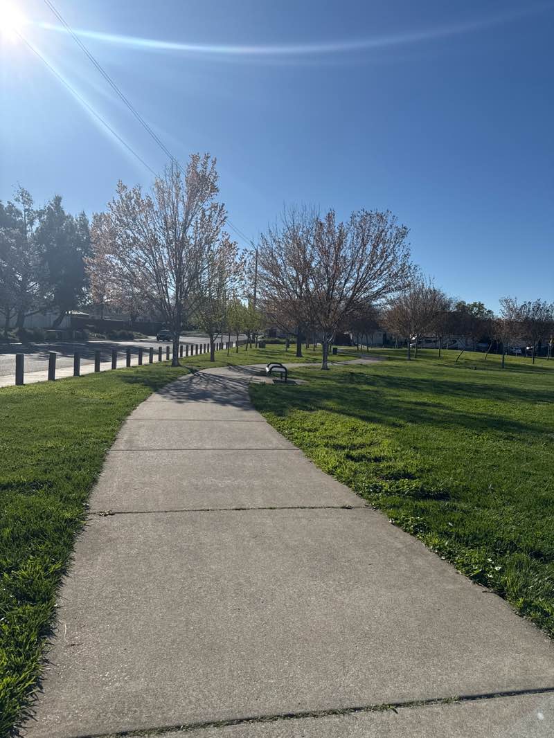 walking near me in Firestone Park in spring