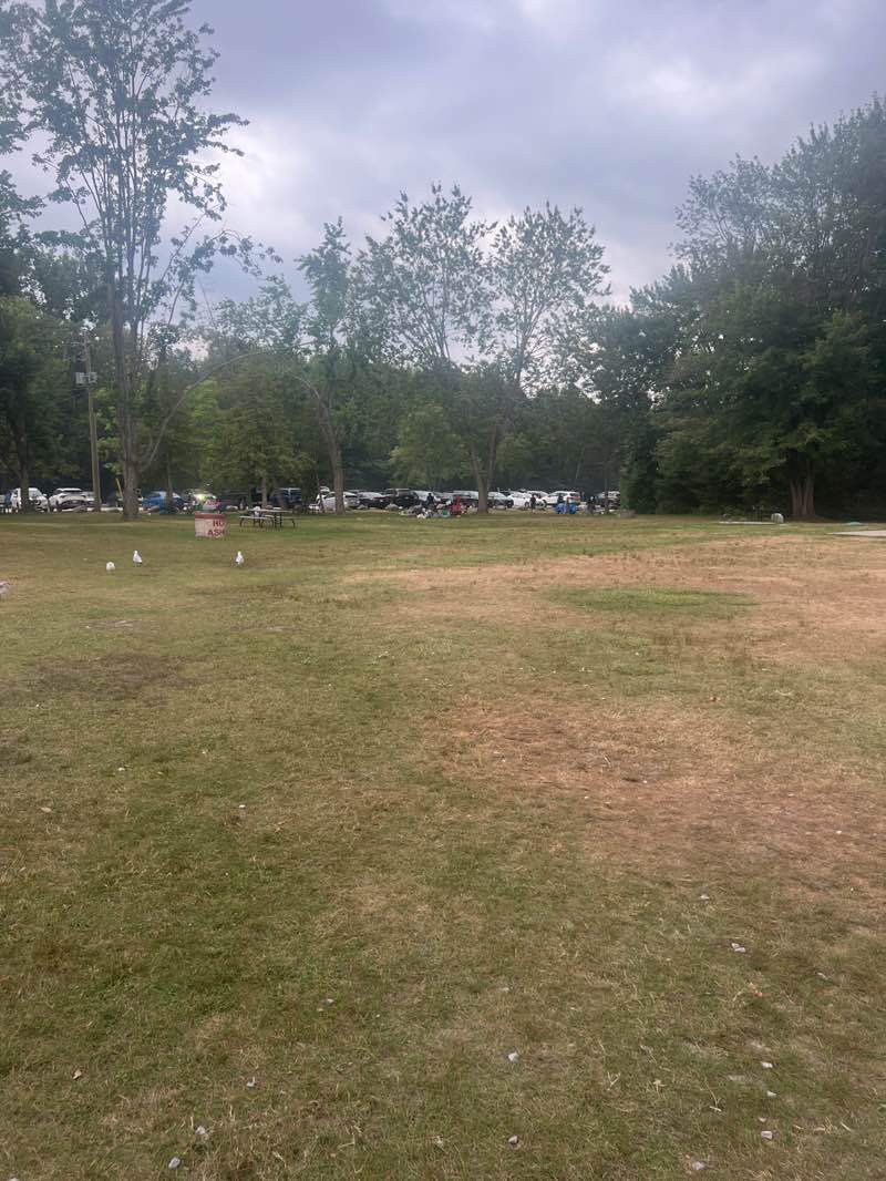 walking near me in Sibbald Point Provincial Park in autumn