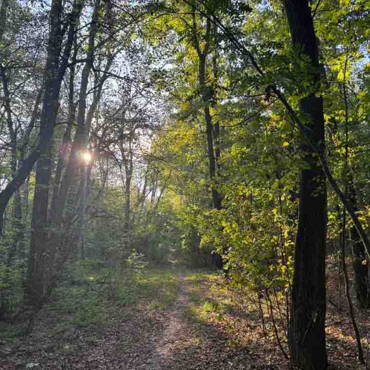 Andrea Tothpal-Demeter post 2