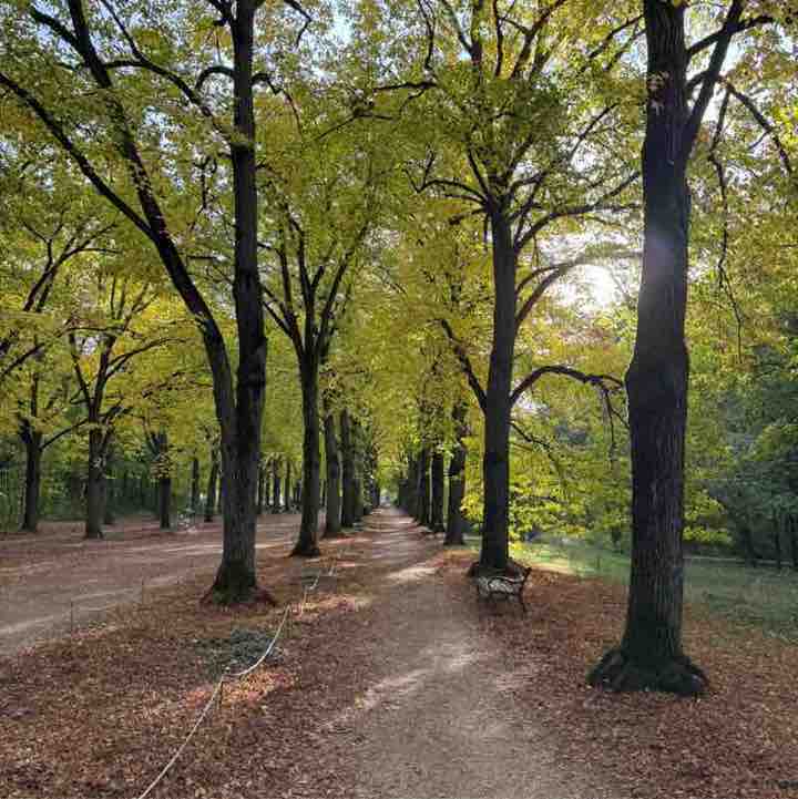 Andrea Tothpal-Demeter post 1