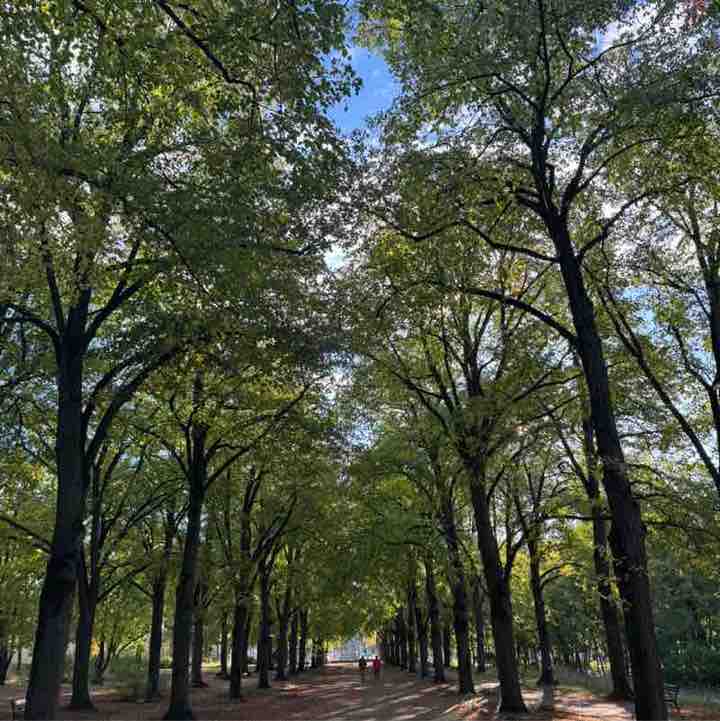 Andrea Tothpal-Demeter post 1