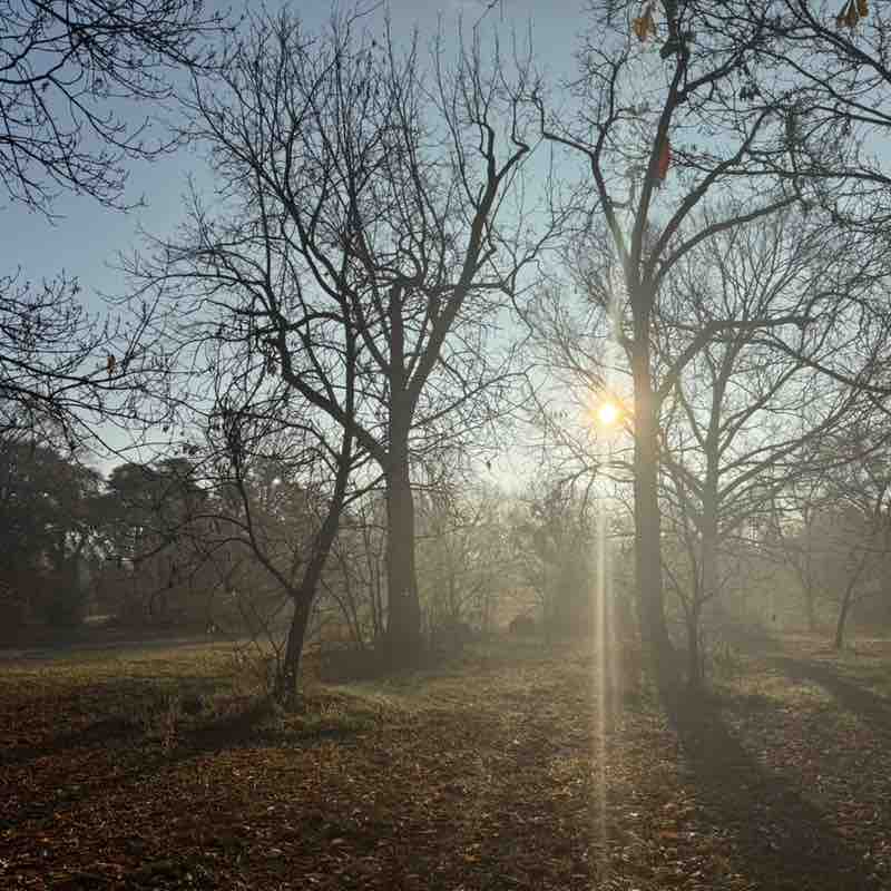 Andrea Tothpal-Demeter post 1