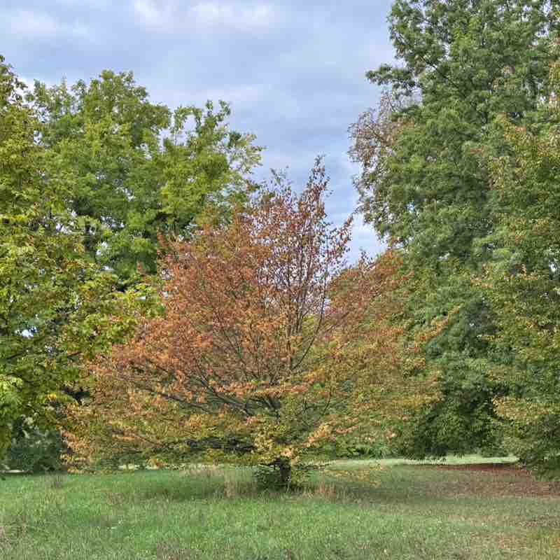 Andrea Tothpal-Demeter post 2