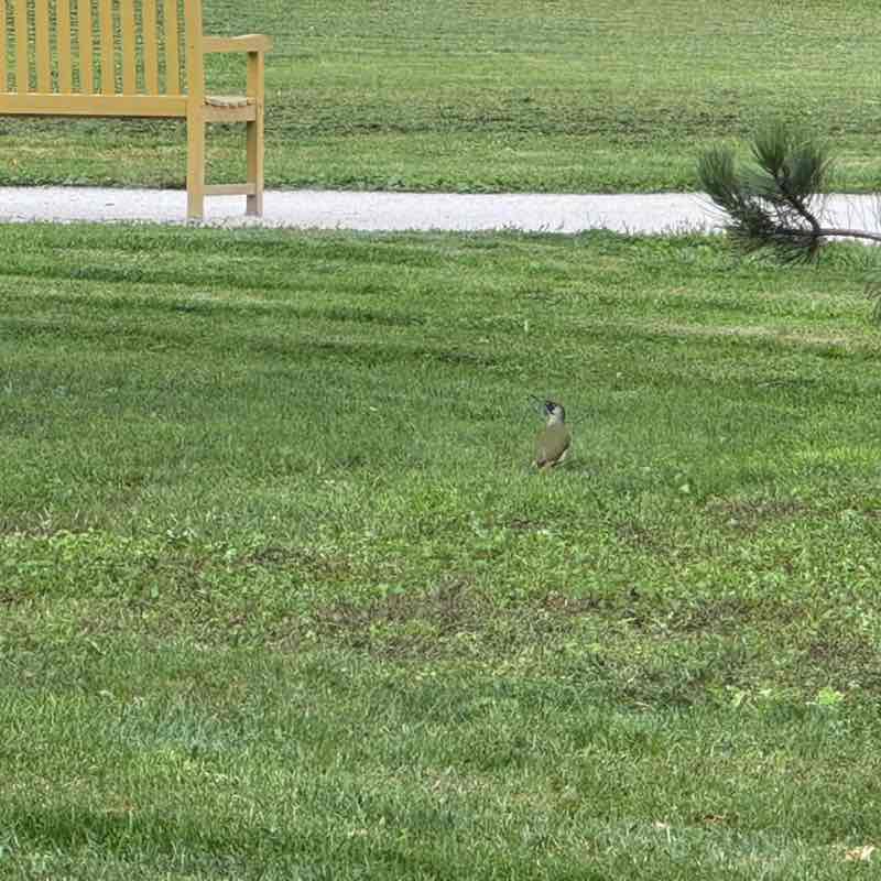 Andrea Tothpal-Demeter post 3