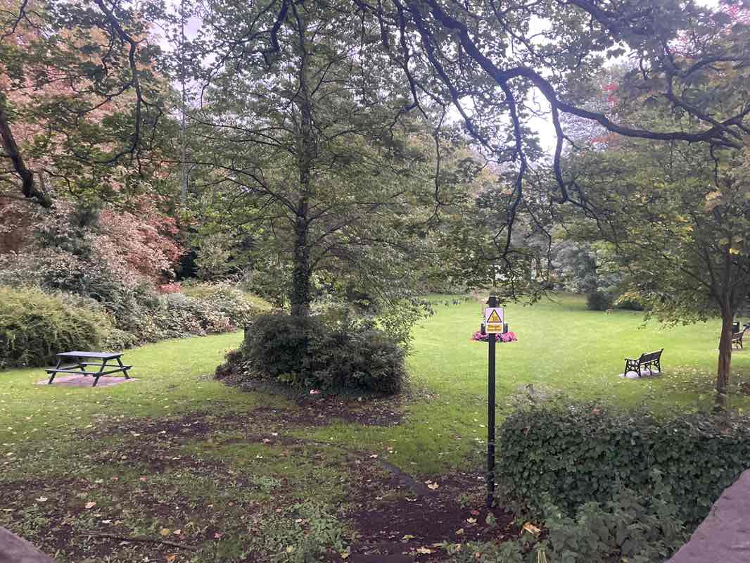 walking near me in Holliday Park in autumn