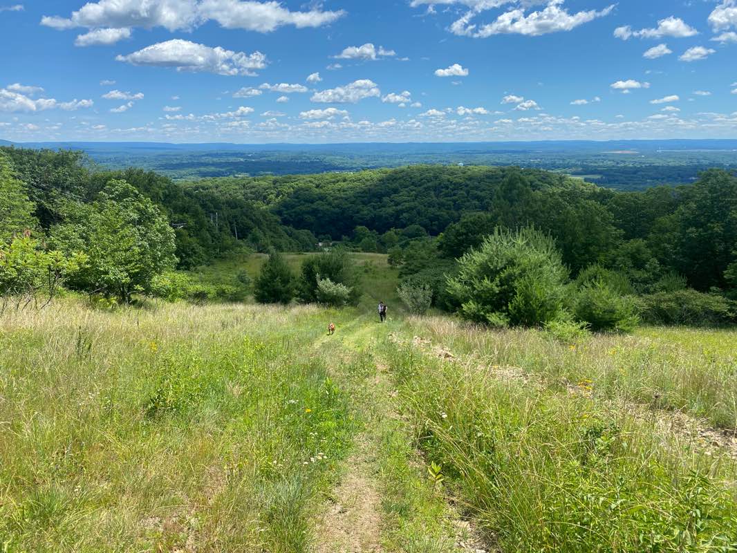 walking near me in Mt Tom State Reservation in winter