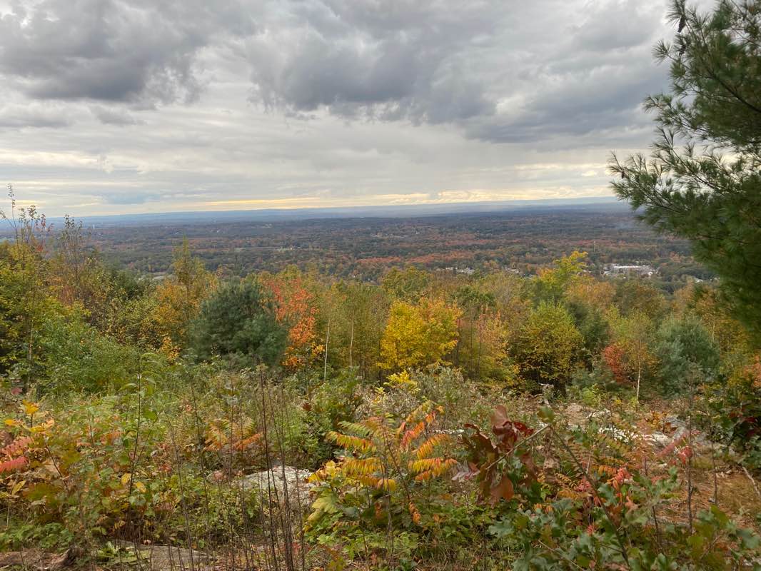 walking near me in Minnechaug Mountain in winter
