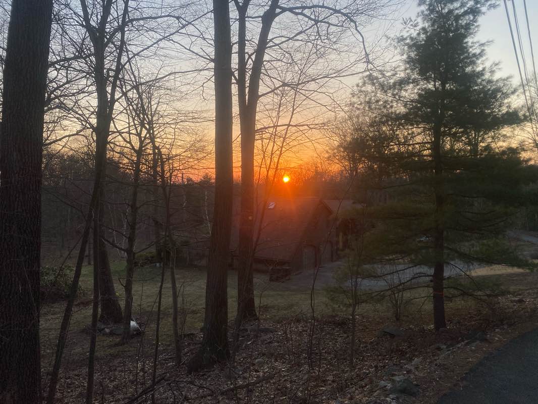 walking near me in Burleigh Park in winter