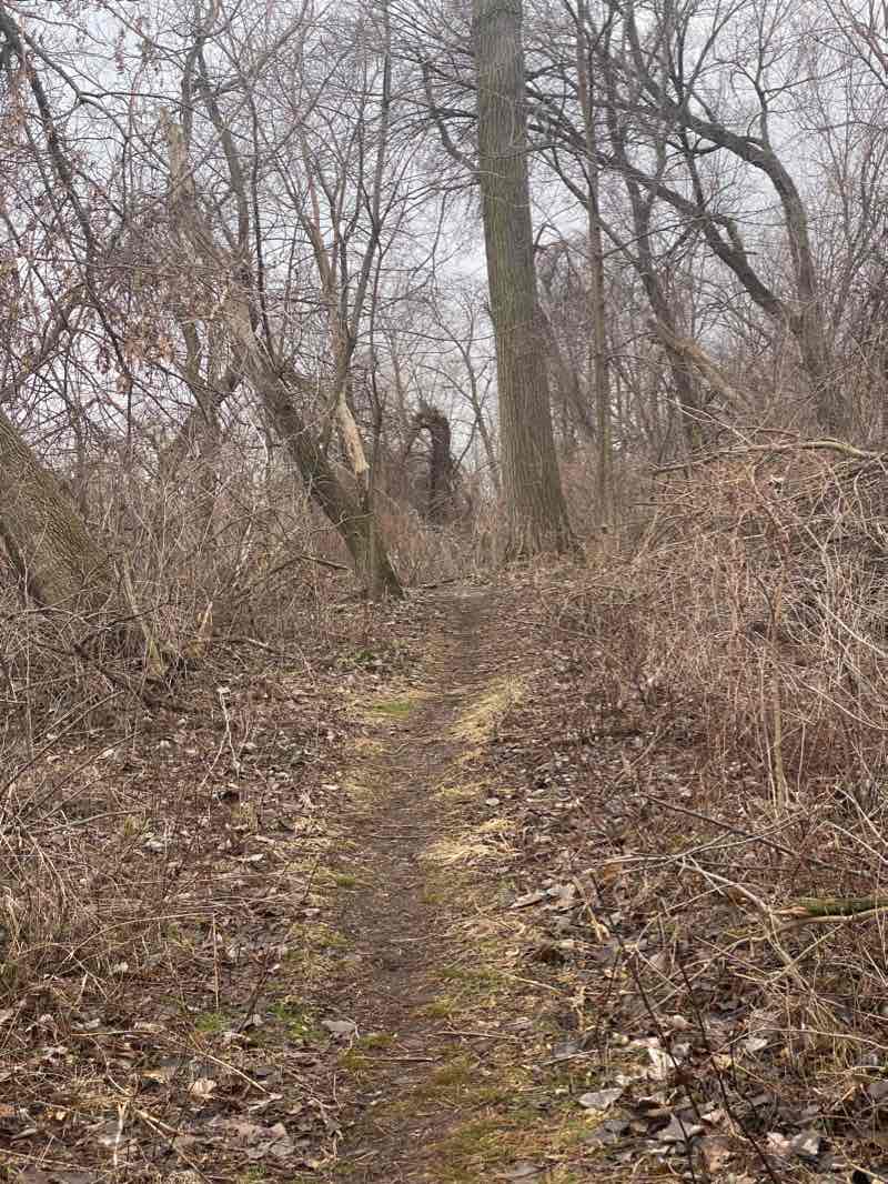 walking near me in Plank Road Meadow in winter