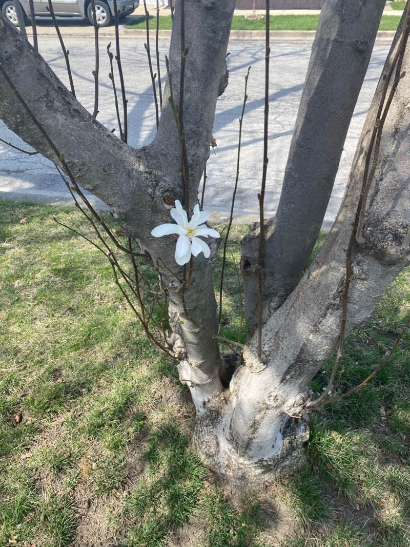 walking near me in Kolar Park in winter