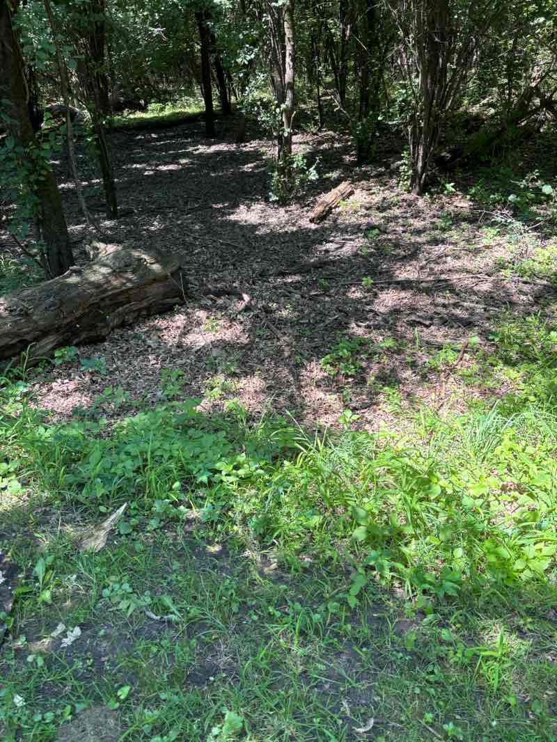 walking near me in Patriots Park in summer