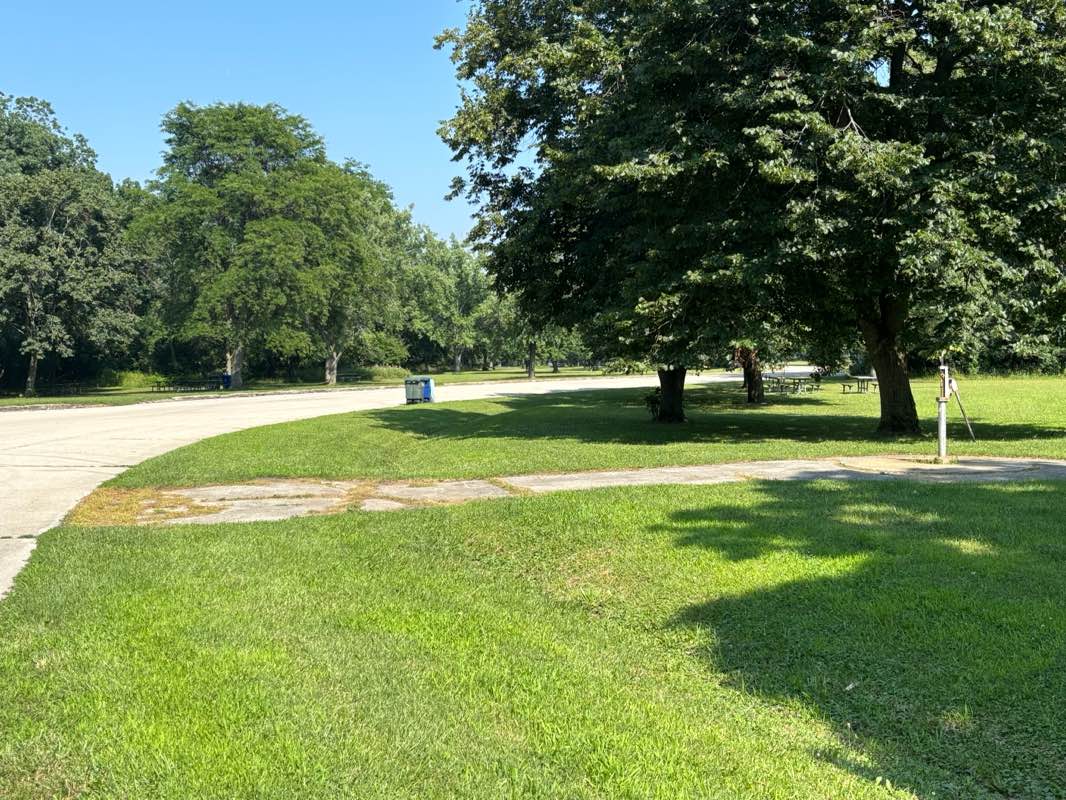 walking near me in Salt Creek Woods in summer