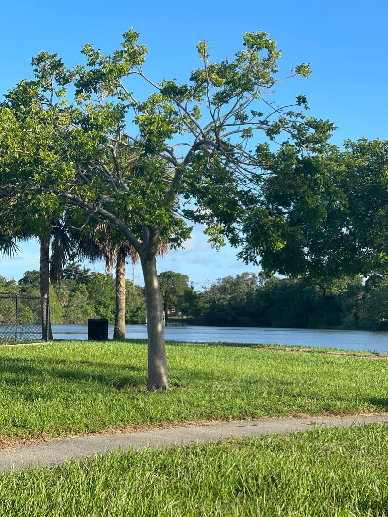 walking near me in Oak Lake Park in winter