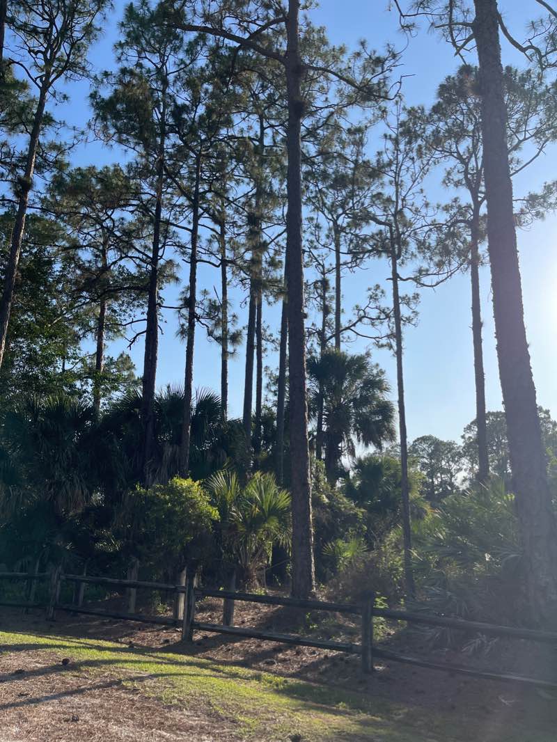 walking near me in Loxahatchee Groves Park in winter