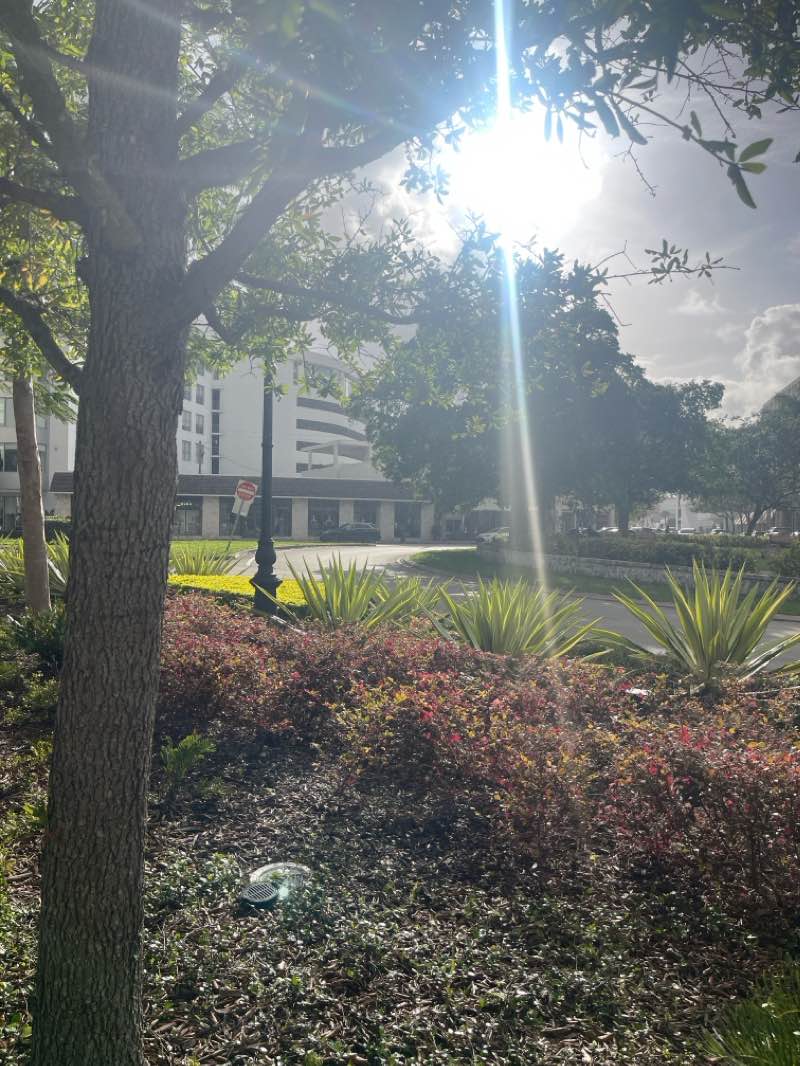 walking near me in Fred B. Hartnett Ponce Circle Park in winter