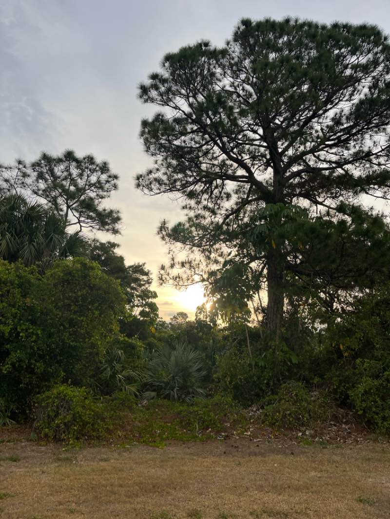 walking near me in Sugar Sand Park in spring