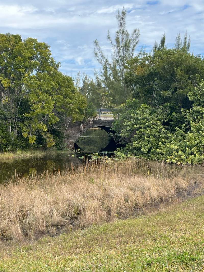 walking near me in Markham Park in winter