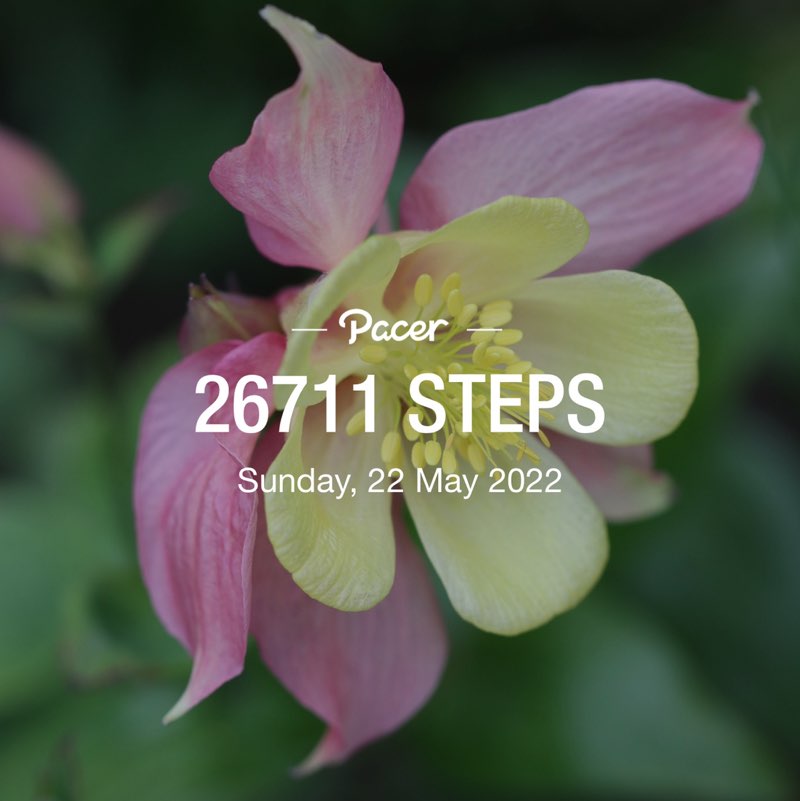 Rosa 🥀💐🥀 post 2