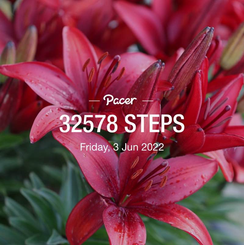 Rosa 🥀💐🥀 post 2