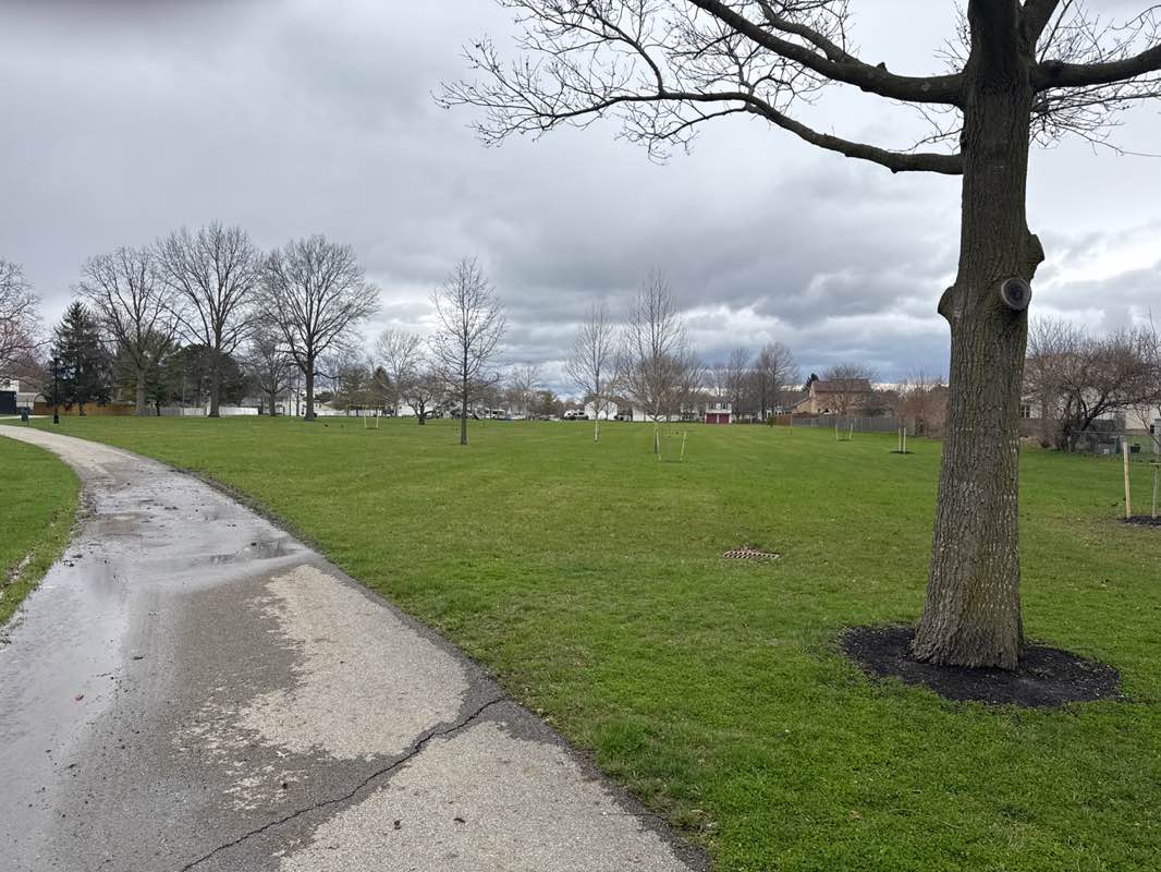 walking near me in Westgrove Park in spring