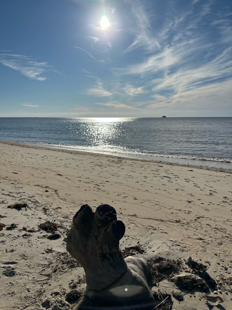 walking near me in Cape May Point State Park in autumn