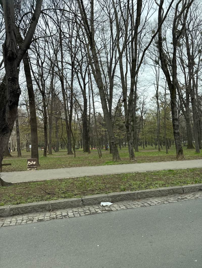 walking near me in Hyde Park in spring