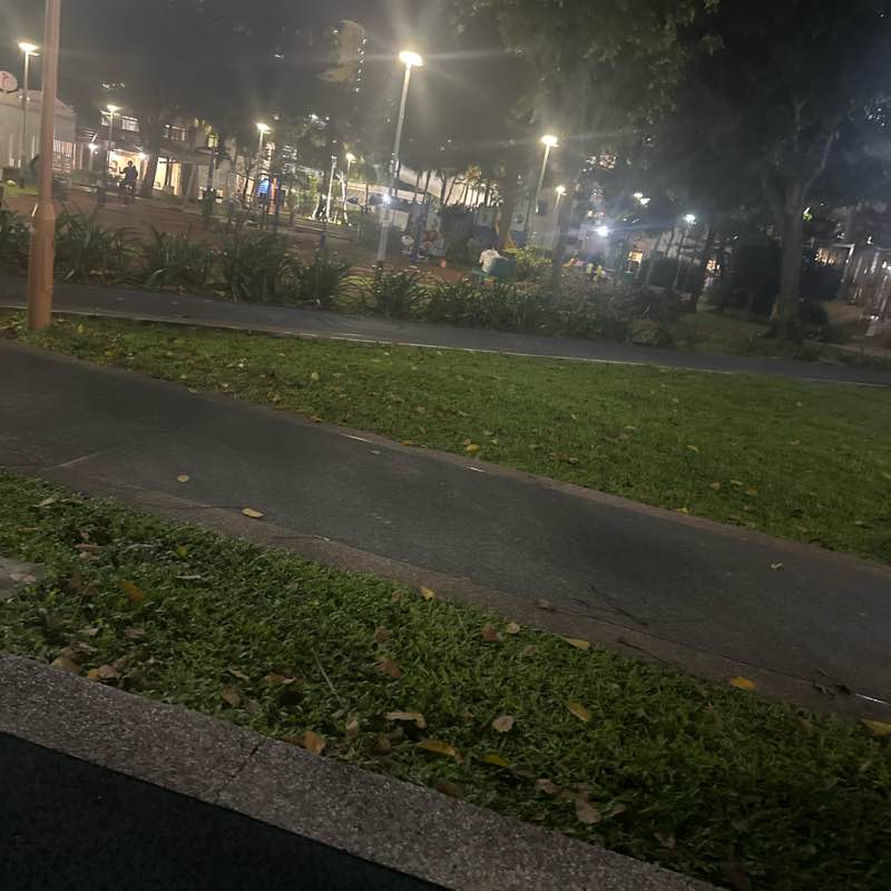 Lakshminarayana Naidu post 1