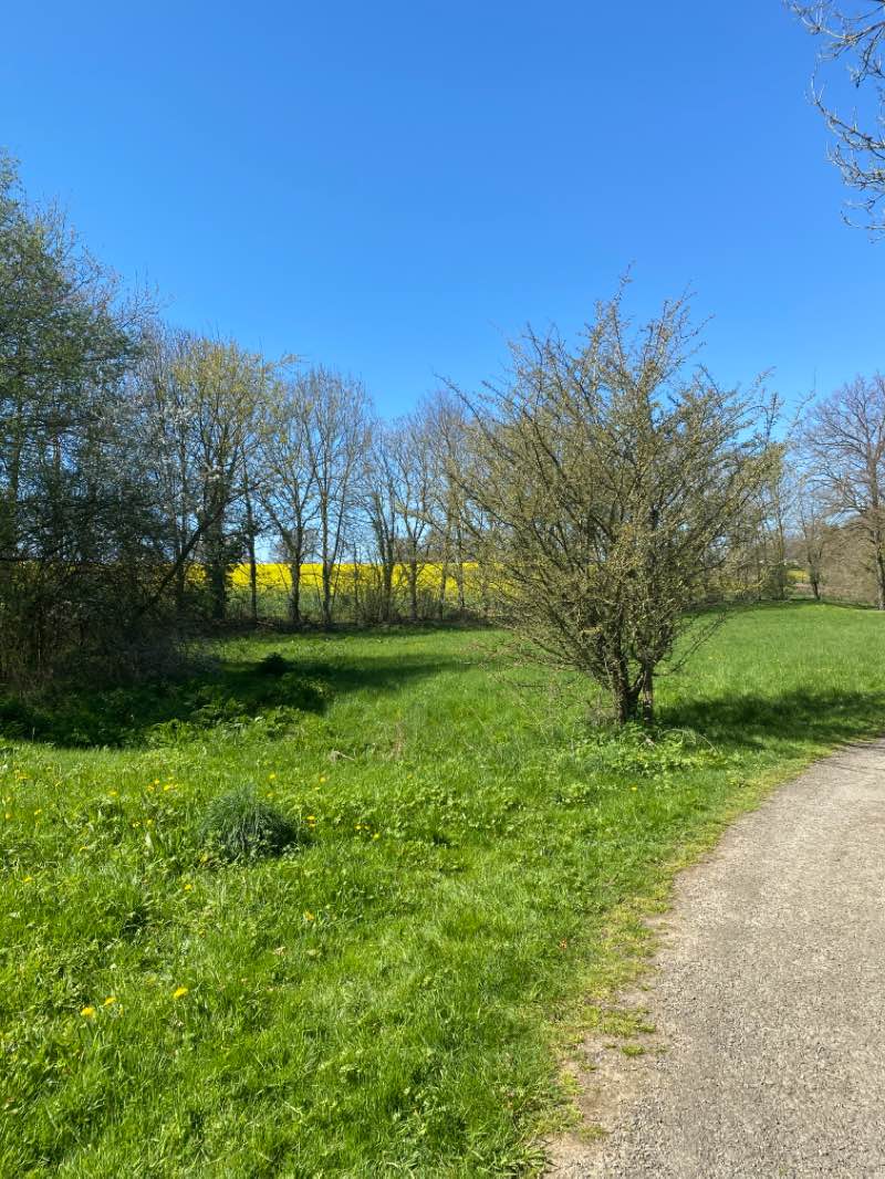 walking near me in Espace nature de Gould'Oeuvre in winter