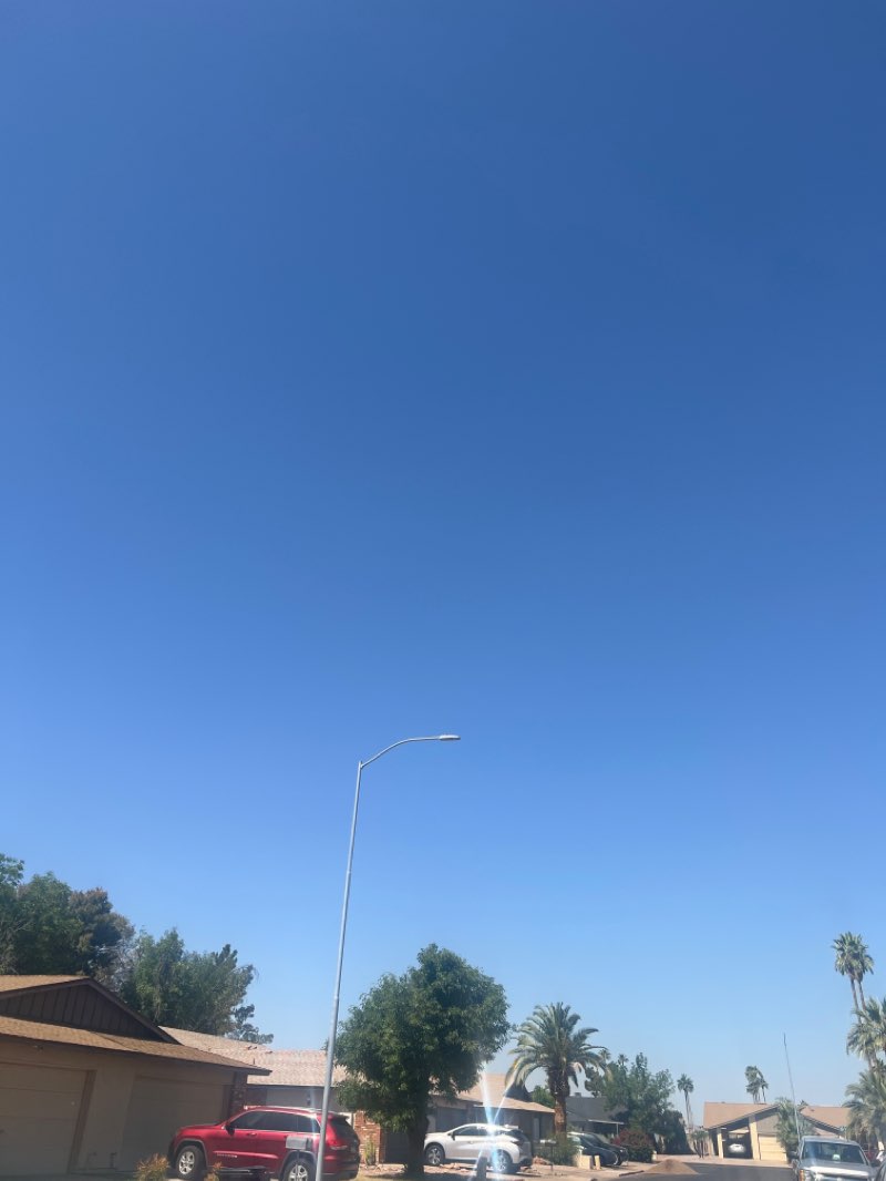 walking near me in Laguna Park in winter