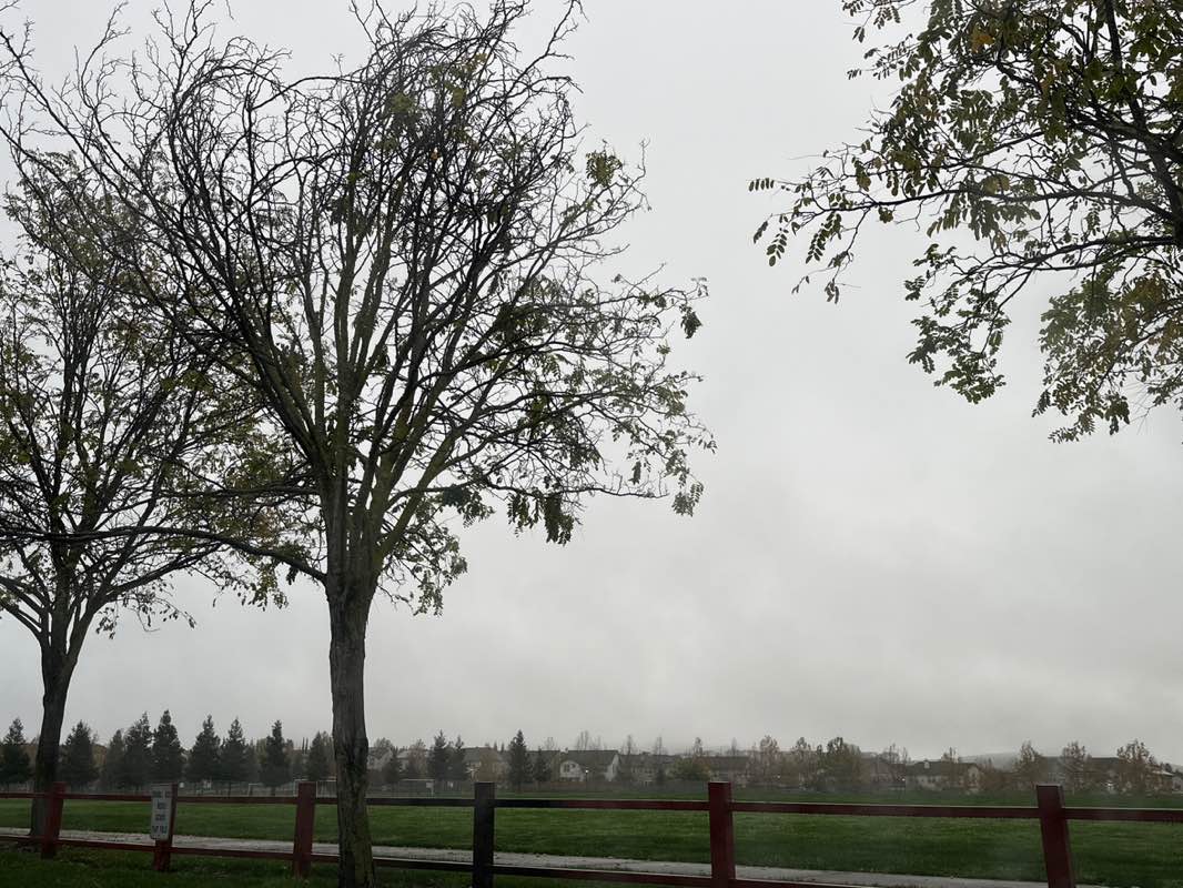walking near me in Diablo Vista Ball Park in autumn
