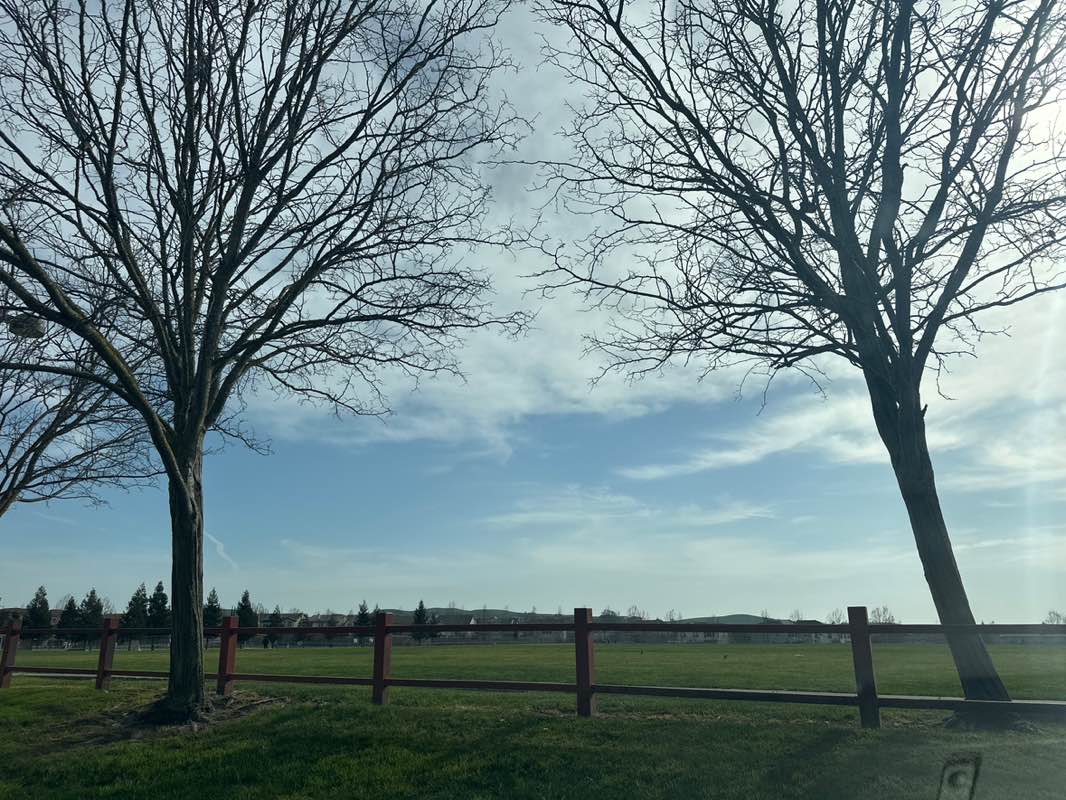 walking near me in Diablo Vista Ball Park in winter