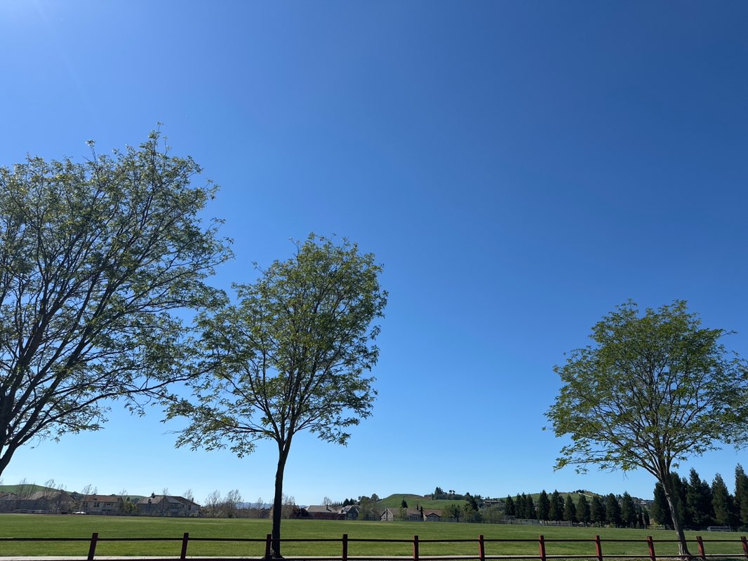 walking near me in Diablo Vista Ball Park in spring