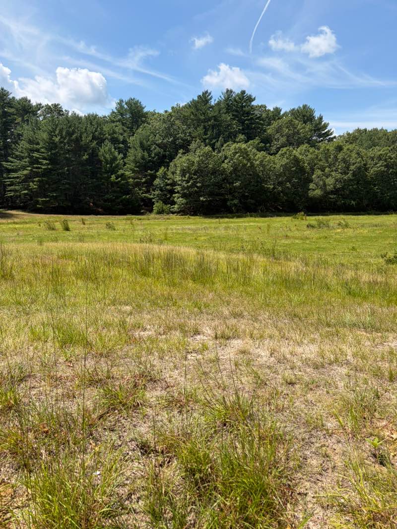 walking near me in North Hill Country Club Land in summer