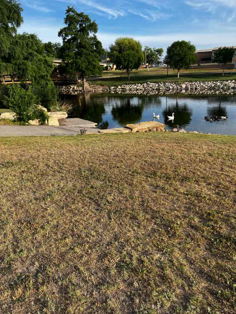 walking near me in Kids Kingdom in winter