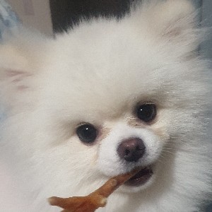 교육전담 김진숙 icon