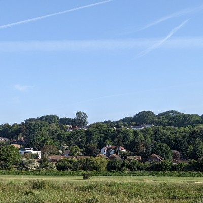 Purple team Holly post image