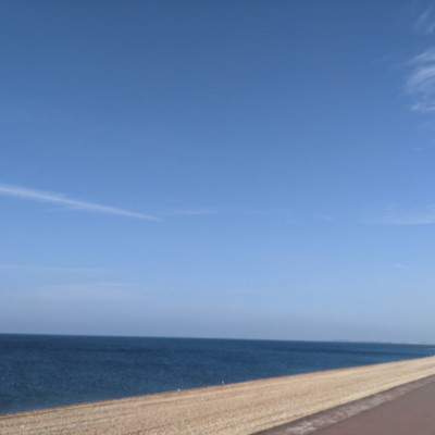 Purple team Holly post image