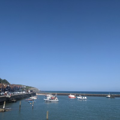 Purple team Holly post image