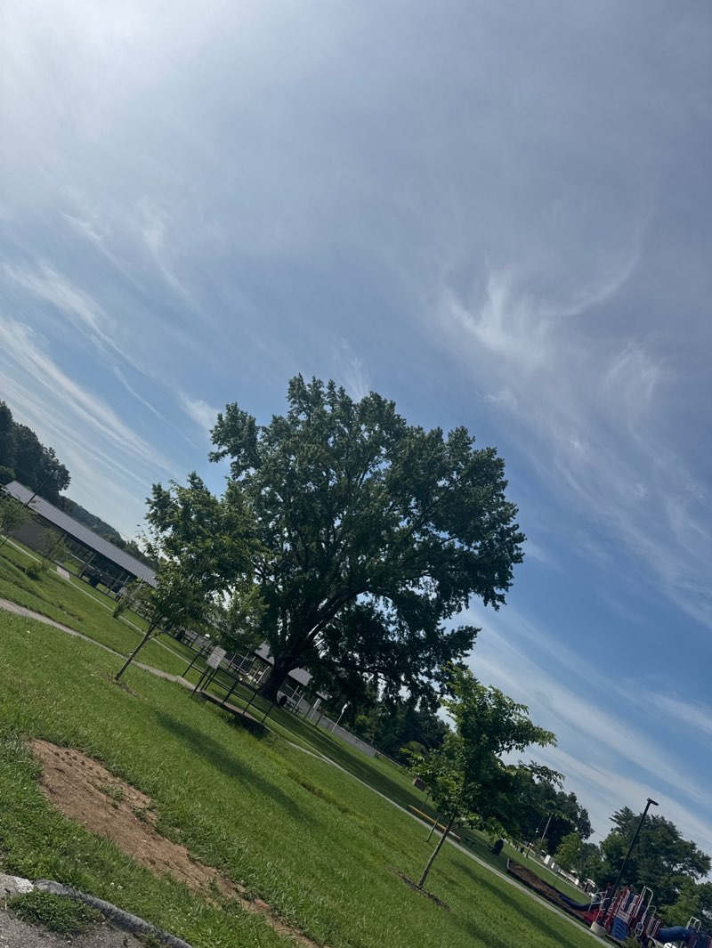 walking near me in Veterans Park in summer