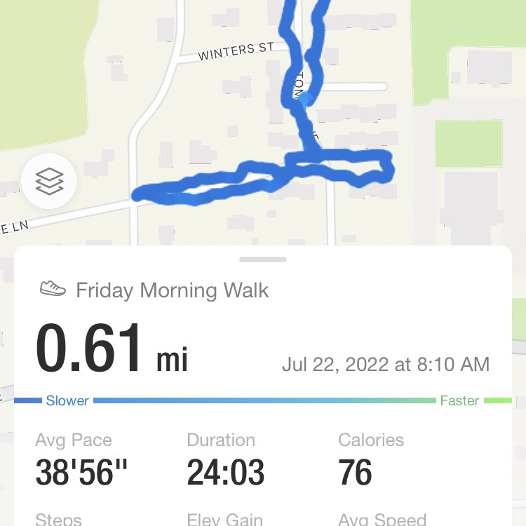 walking with a dog Dorinda post image