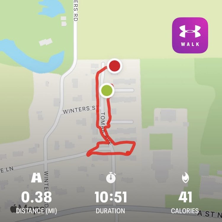 walking with a dog Dorinda post image