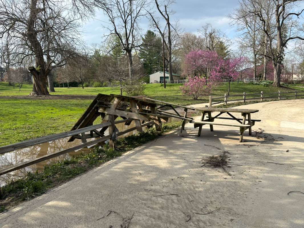 walking near me in Province Park in spring
