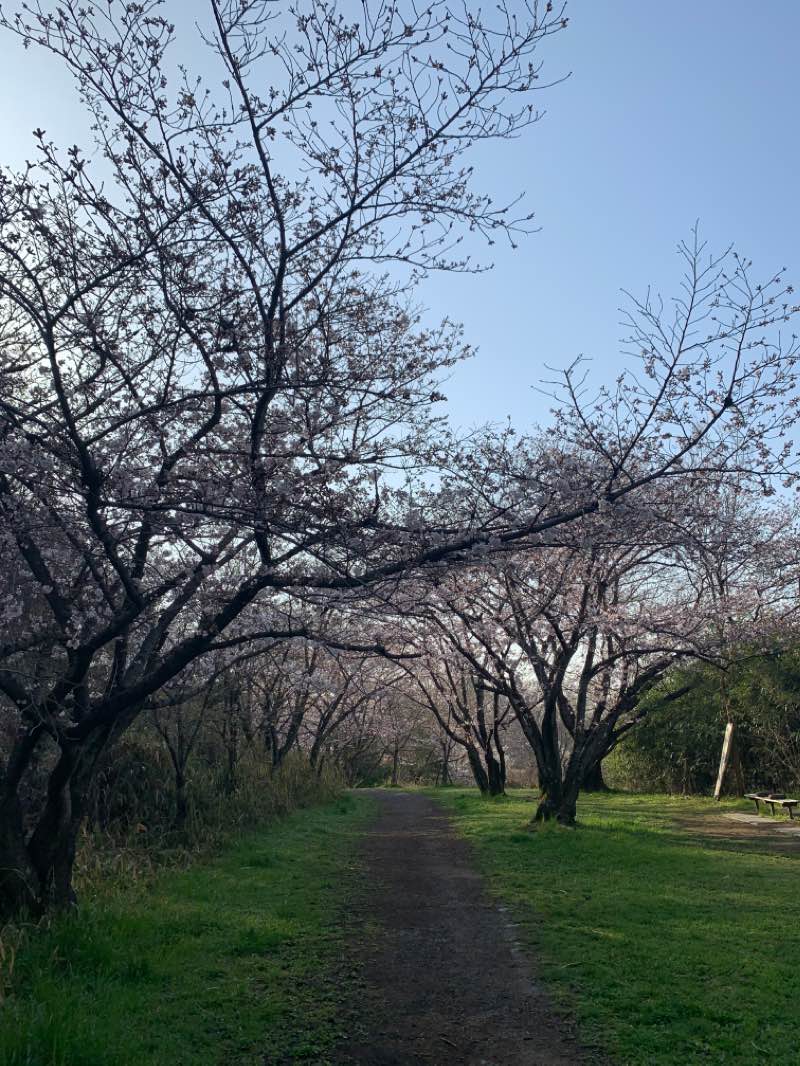 walking near me in 千里北公園 in winter