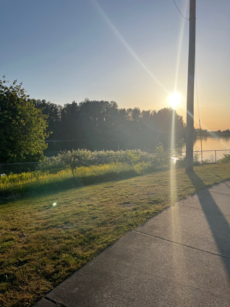 walking near me in Lion's Park in summer